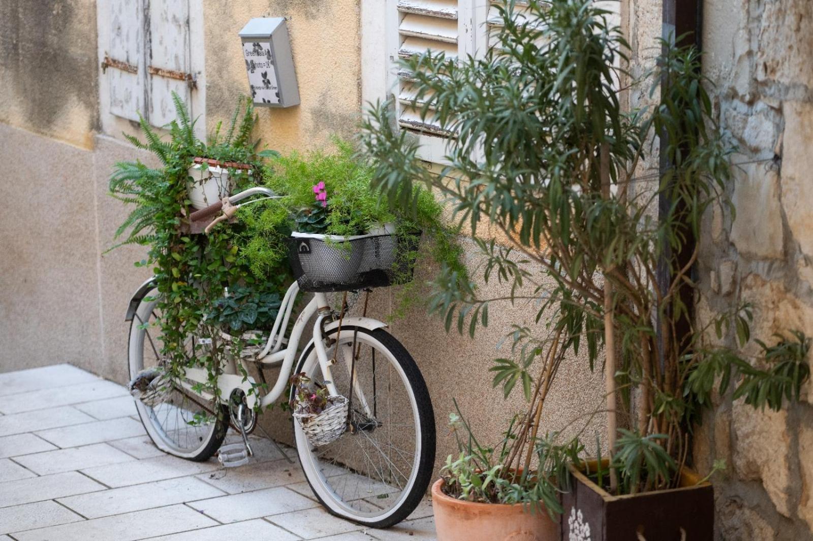 Apartment Old Town *